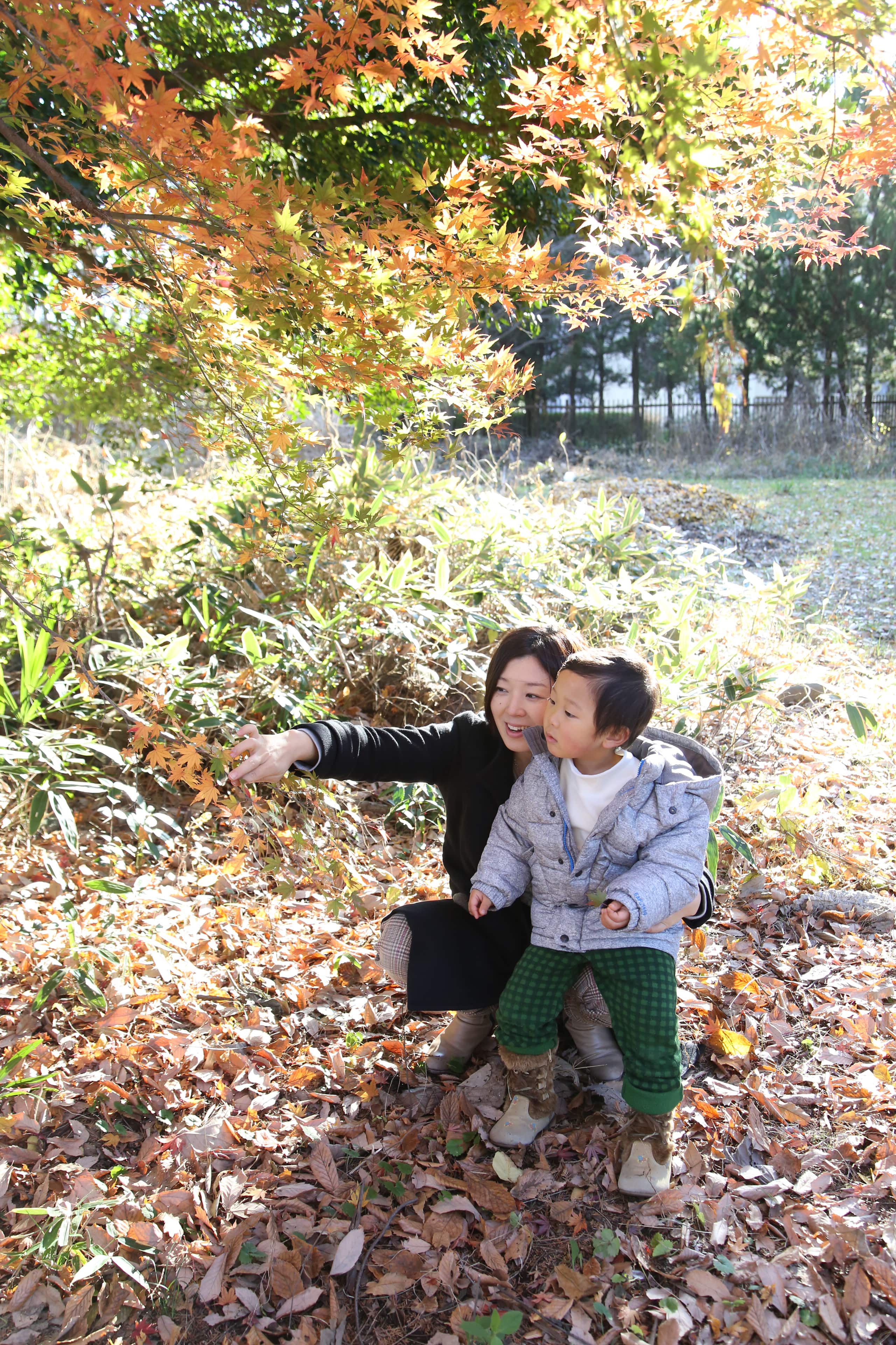 ママと紅葉の森をお散歩