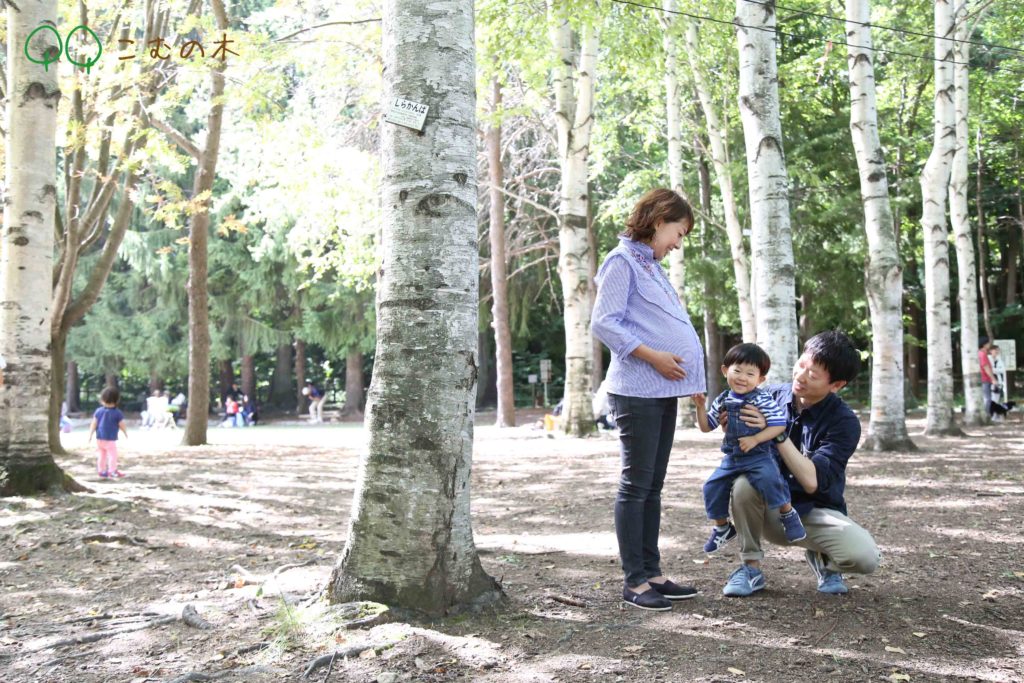 円山公園家族写真撮影会こむの木
