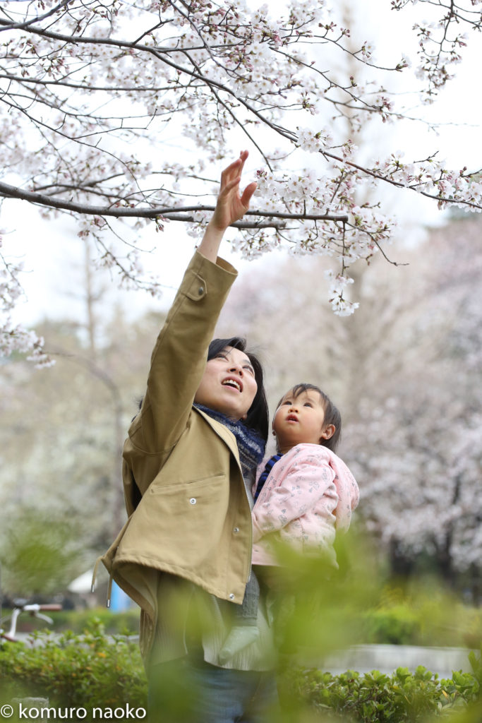 くにたち桜撮影会家族写真