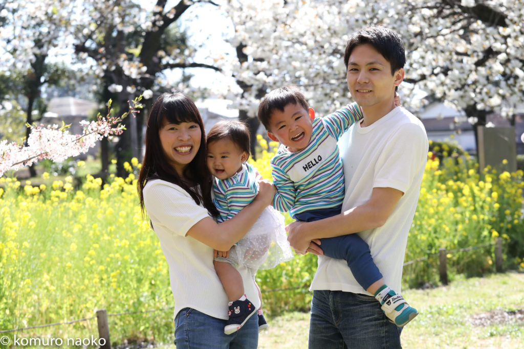 こむの木家族写真桜
