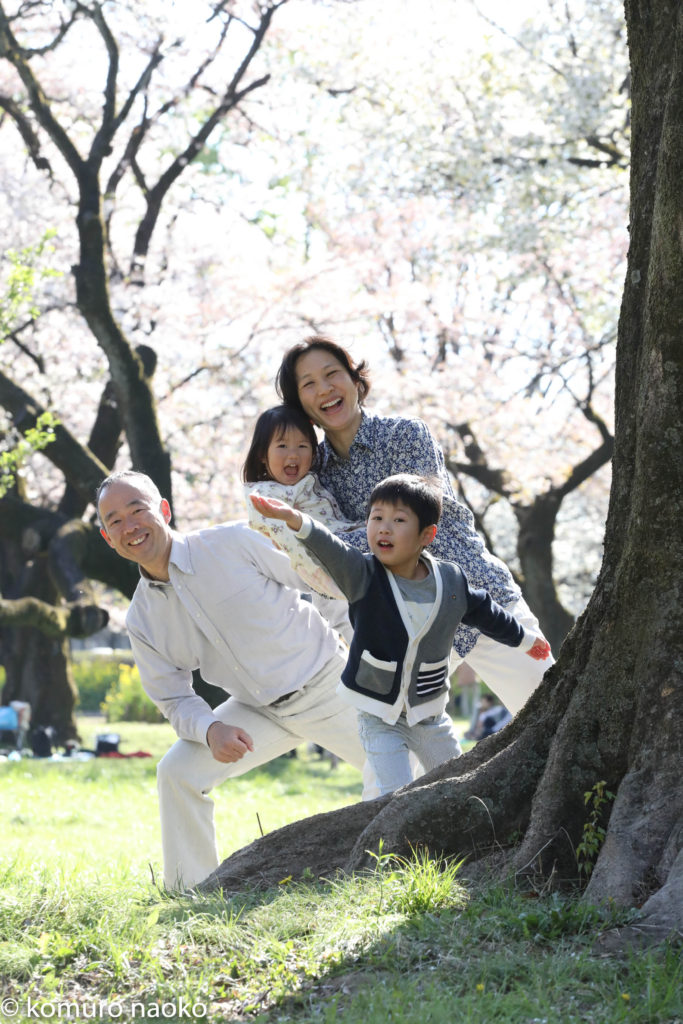 こむの木家族写真小金井公園桜