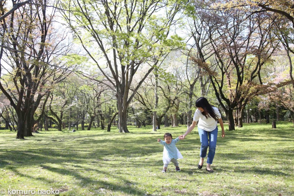 こむの木家族写真小金井公園桜