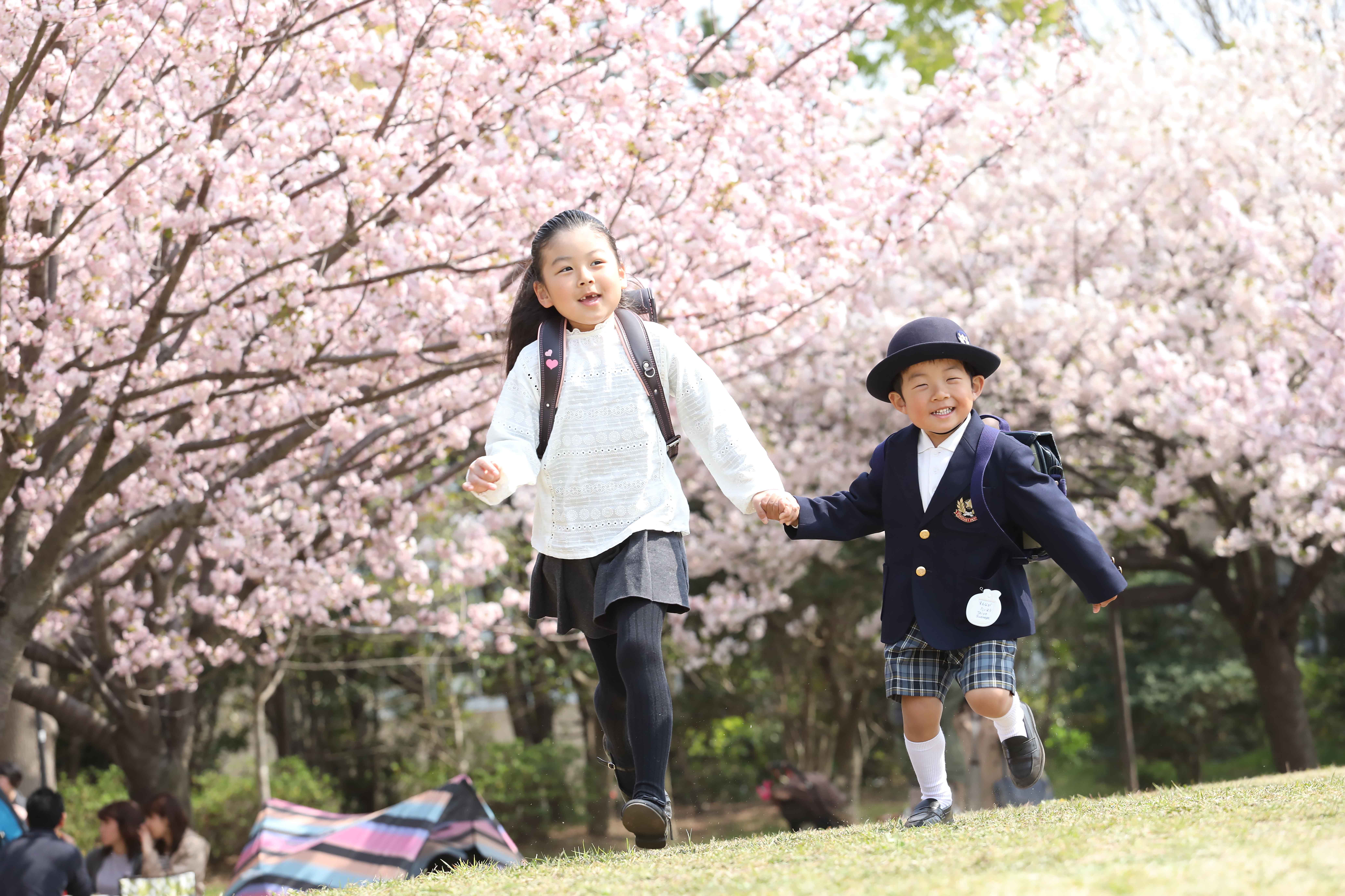 桜の中で入学入園記念家族写真